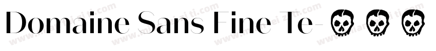 Domaine Sans Fine Te字体转换